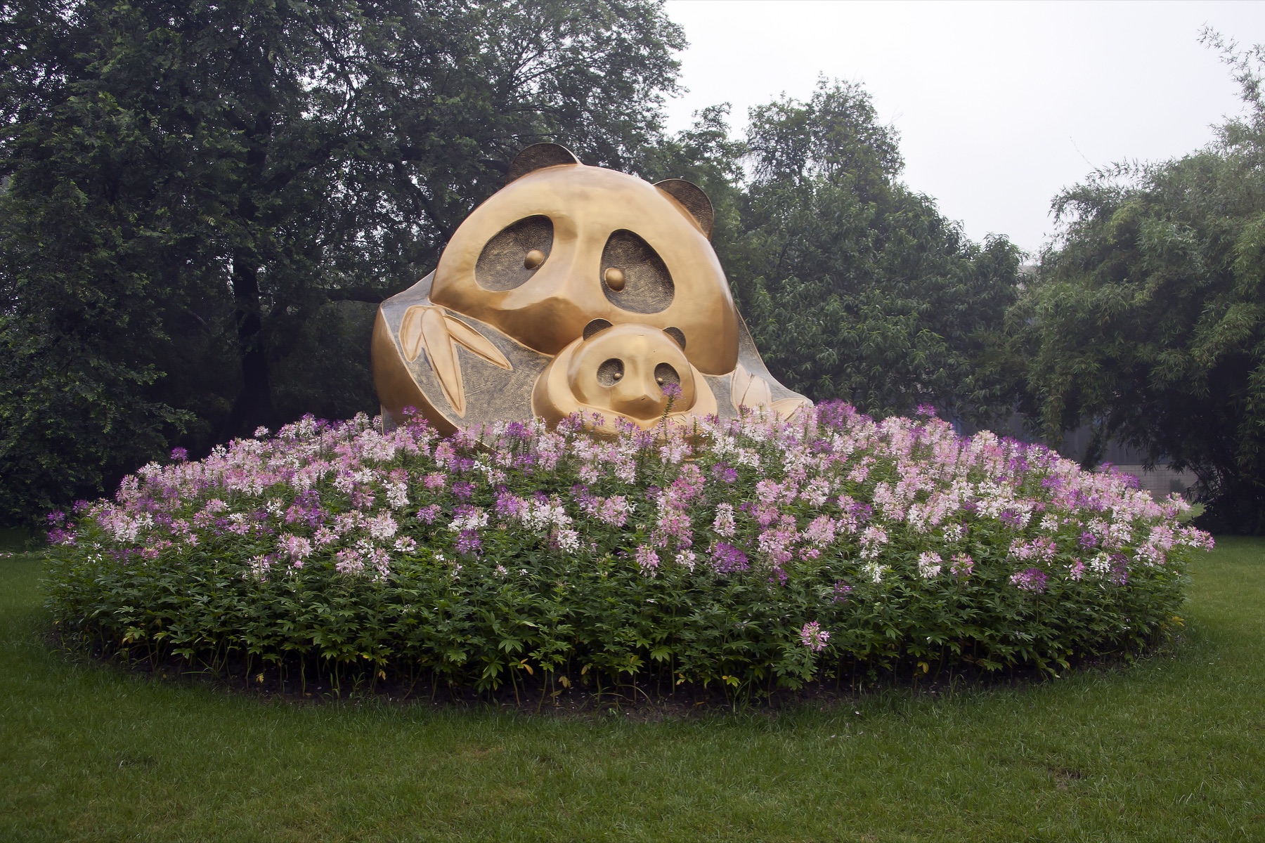 Giant panda at the Chengdu panda base