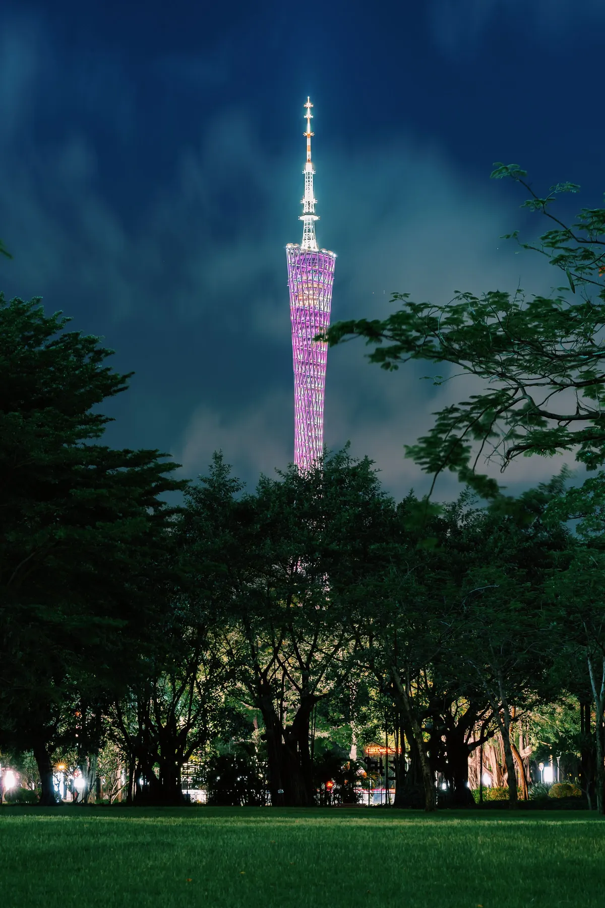 Canton Tower lit in pink and purple at night, seen above the trees from a Guangzhou park